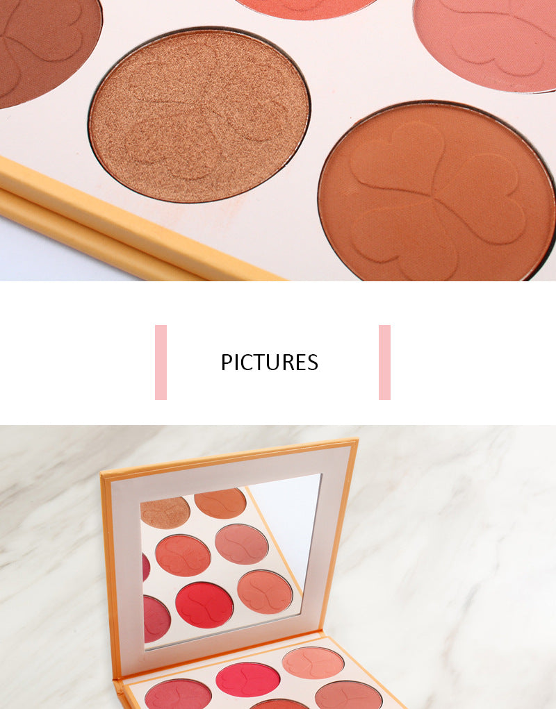 9 colors pressed blusher palette with your logo print